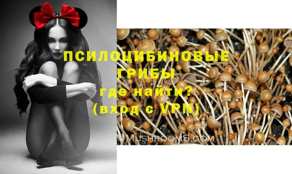 герыч Верхний Тагил