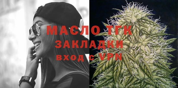 молекула духа Бородино
