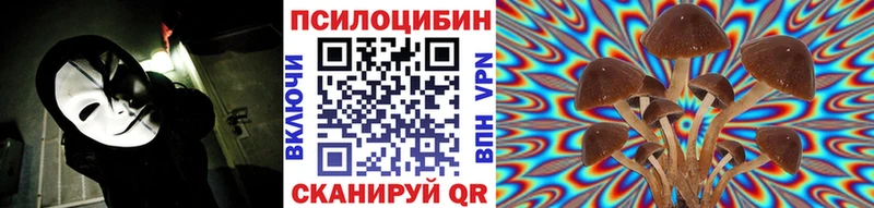 Купить где  Новоульяновск  Псилоцибиновые грибы мицелий 